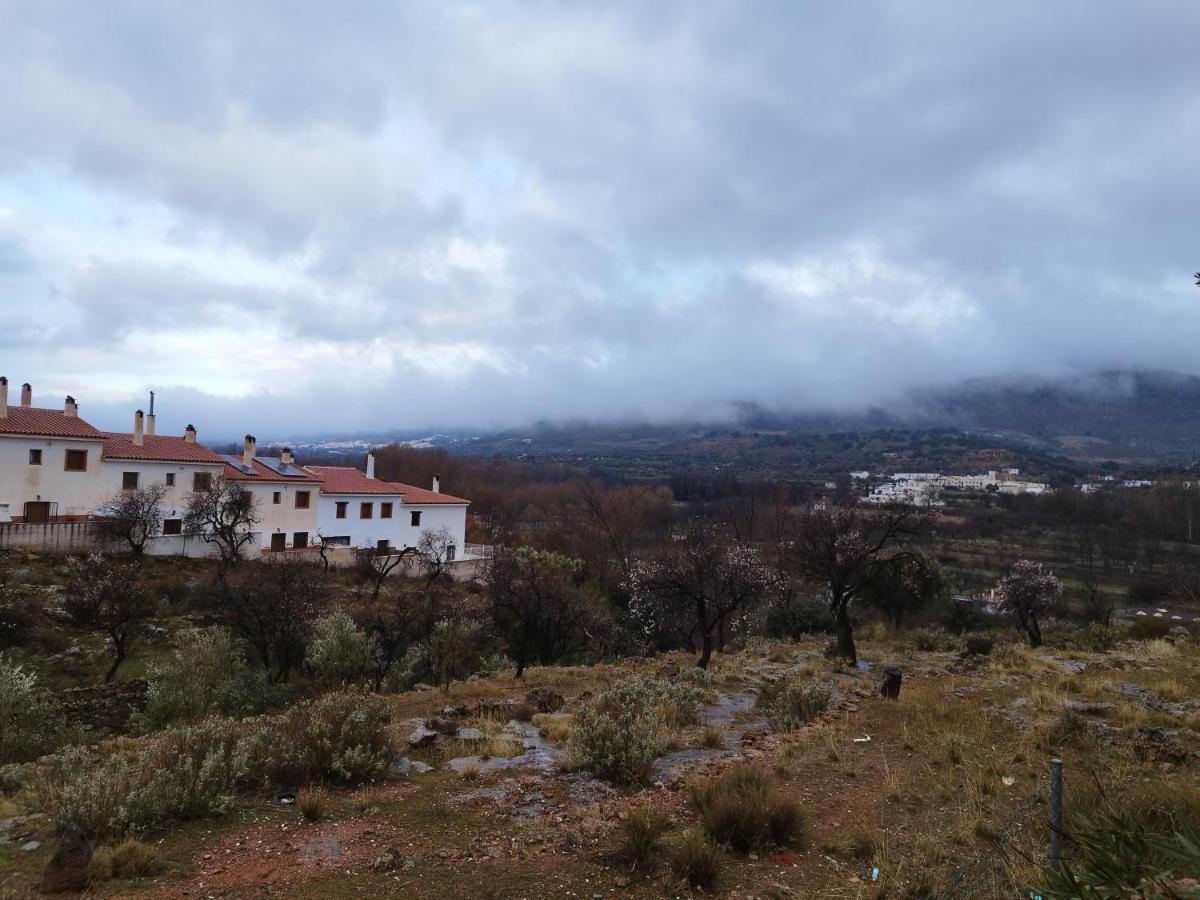 Los Olivos De Fondón Eksteriør billede